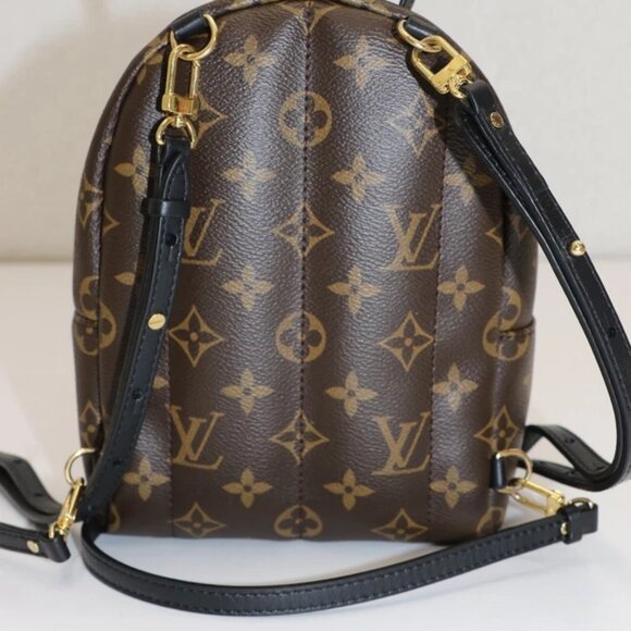 Louis Vuitton Palm Springs Backpack Mini Brown Canvas M44873 - Picture 4 of 14